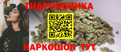 твердый Новозыбков
