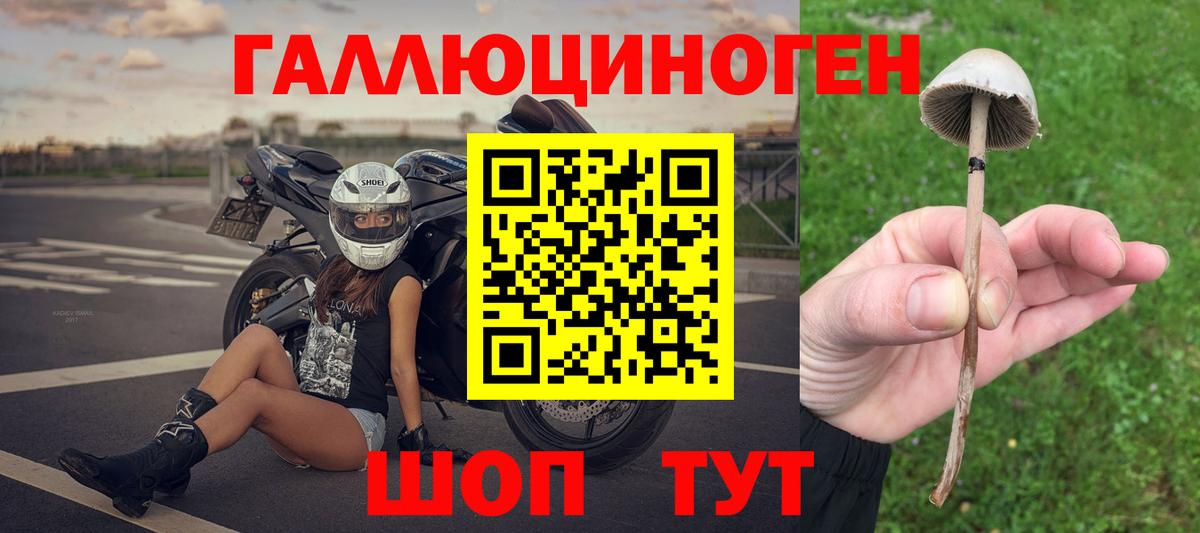 Галлюциногенные грибы мицелий Севастополь